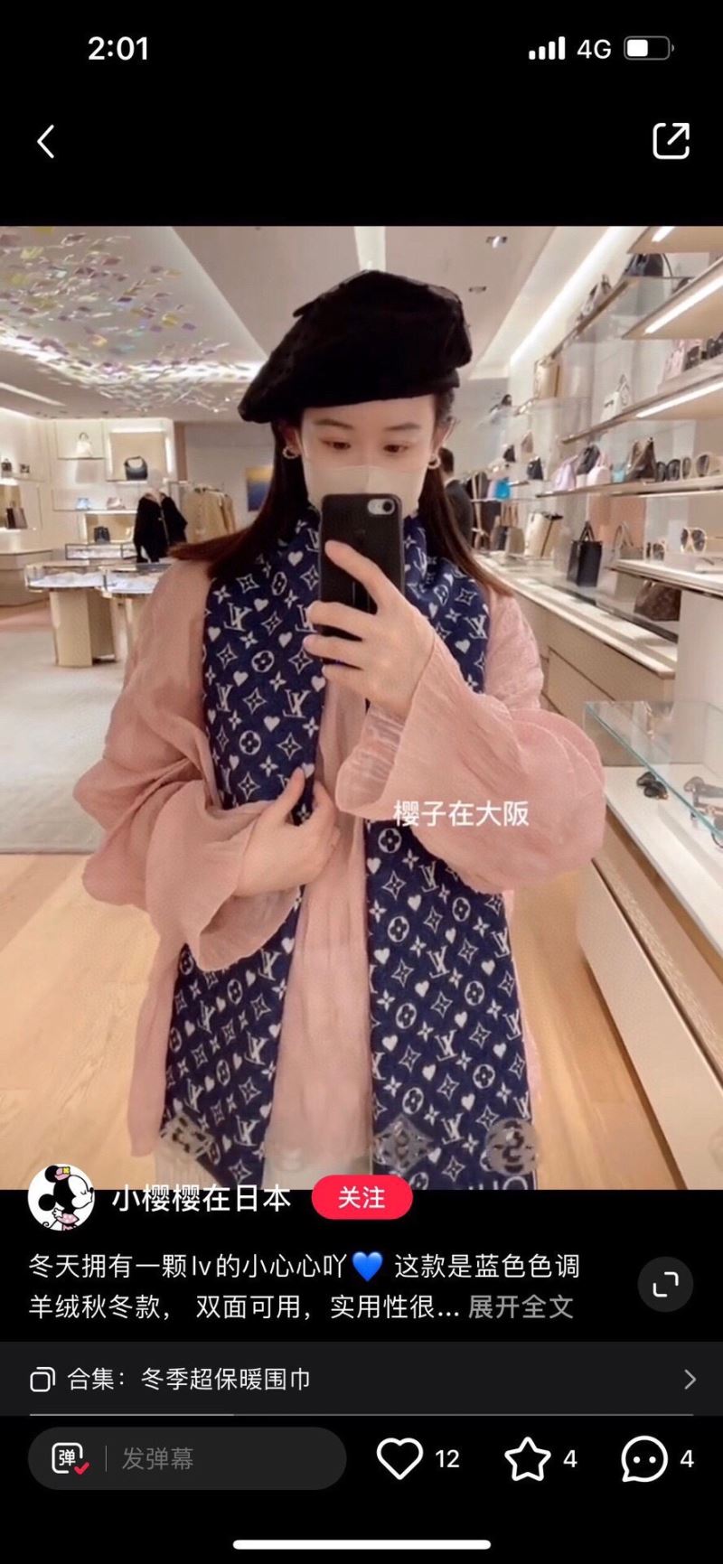 Louis Vuitton Scarf